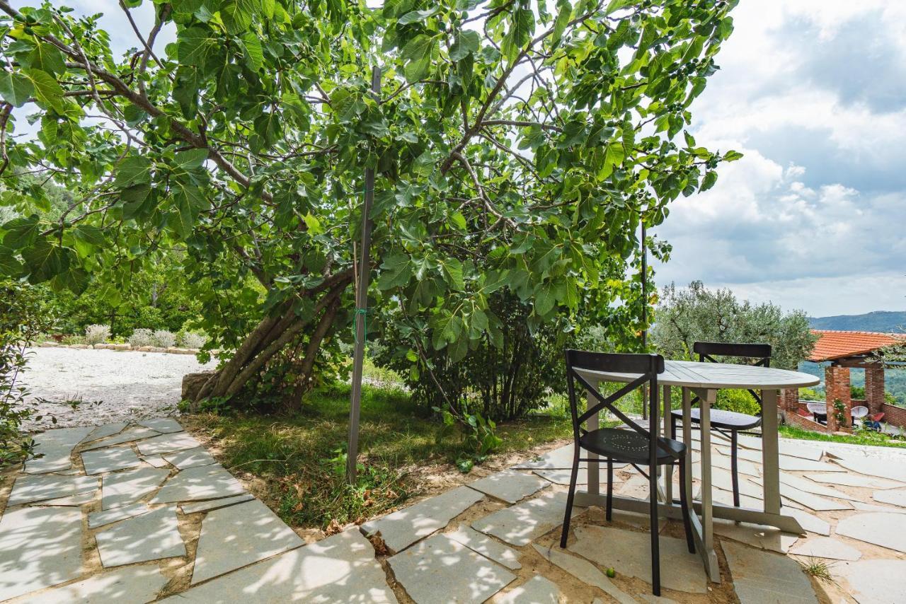 Agriturismo Le Fonti Pontassieve Buitenkant foto